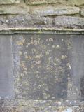 image of grave number 226782